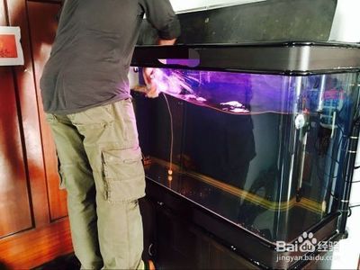 长沙县泉塘街道浪漫满屋鲜花店 小饰物的温馨点缀