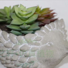 专业织物上光与护理的优质选择 东莞市艺轩厂纺织品上光皂